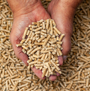 projekt bez nazwy (31)